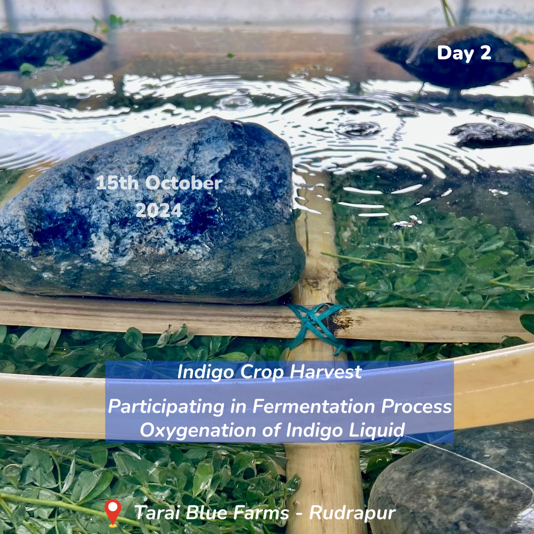 3-Days Residency at Tarai Blue: Indigo Pigment Extraction, Vat Making & Dyeing