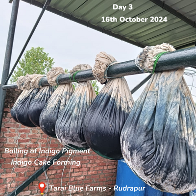 3-Days Residency at Tarai Blue: Indigo Pigment Extraction, Vat Making & Dyeing