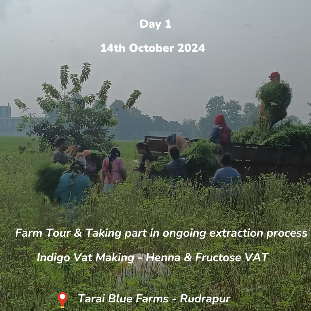 3-Days Residency at Tarai Blue: Indigo Pigment Extraction, Vat Making & Dyeing