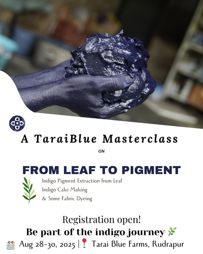 Experience the Magic of Indigo Extraction at Tarai Blue Farms